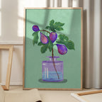 Figs Branch In Vase
