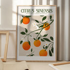 Orange Elegance