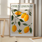 Golden Citrus Delight