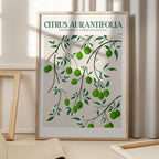 Botanical Lime Bliss