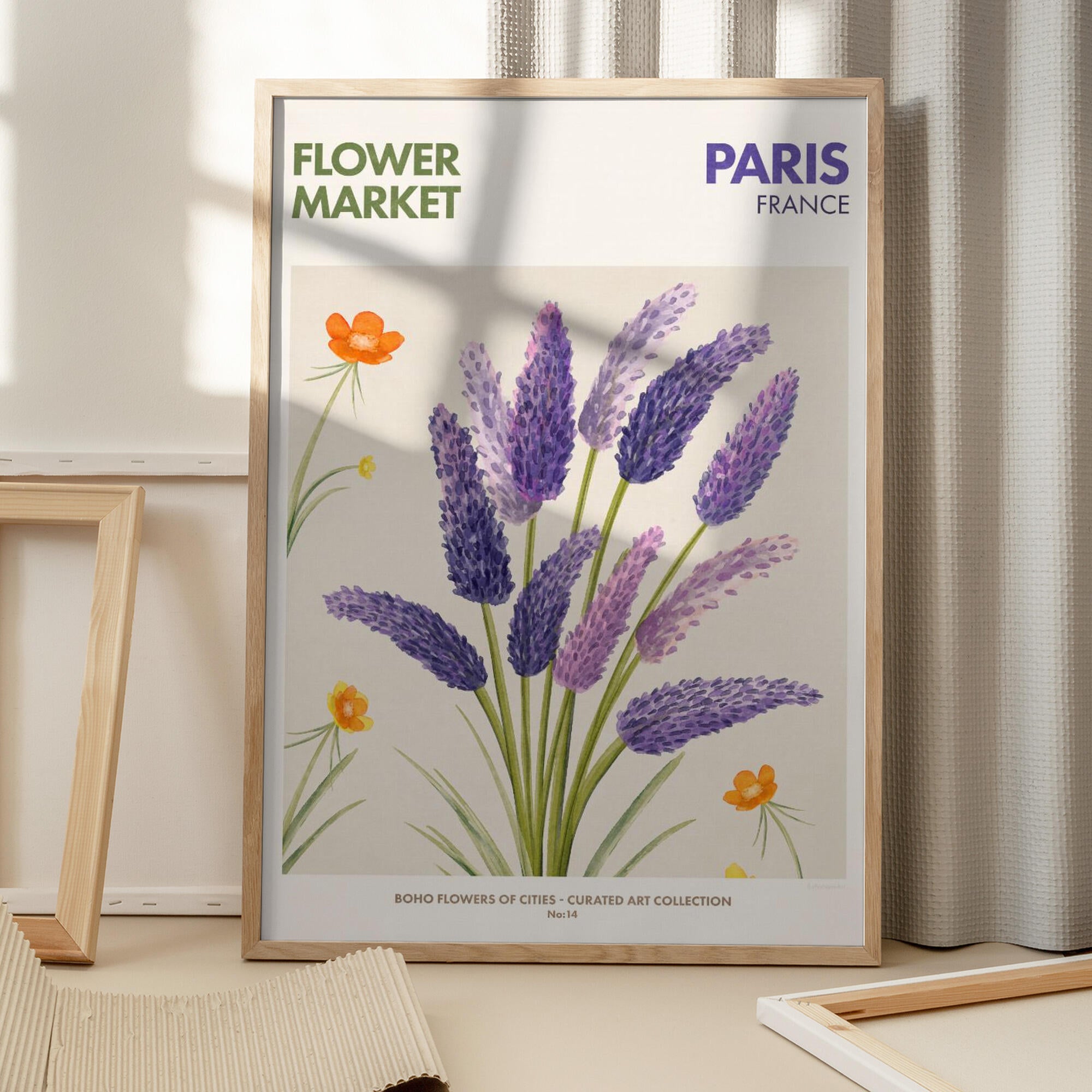 Lavender Blooms