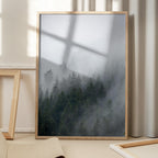 Foggy Morning 2