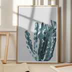 Cactus Elegance