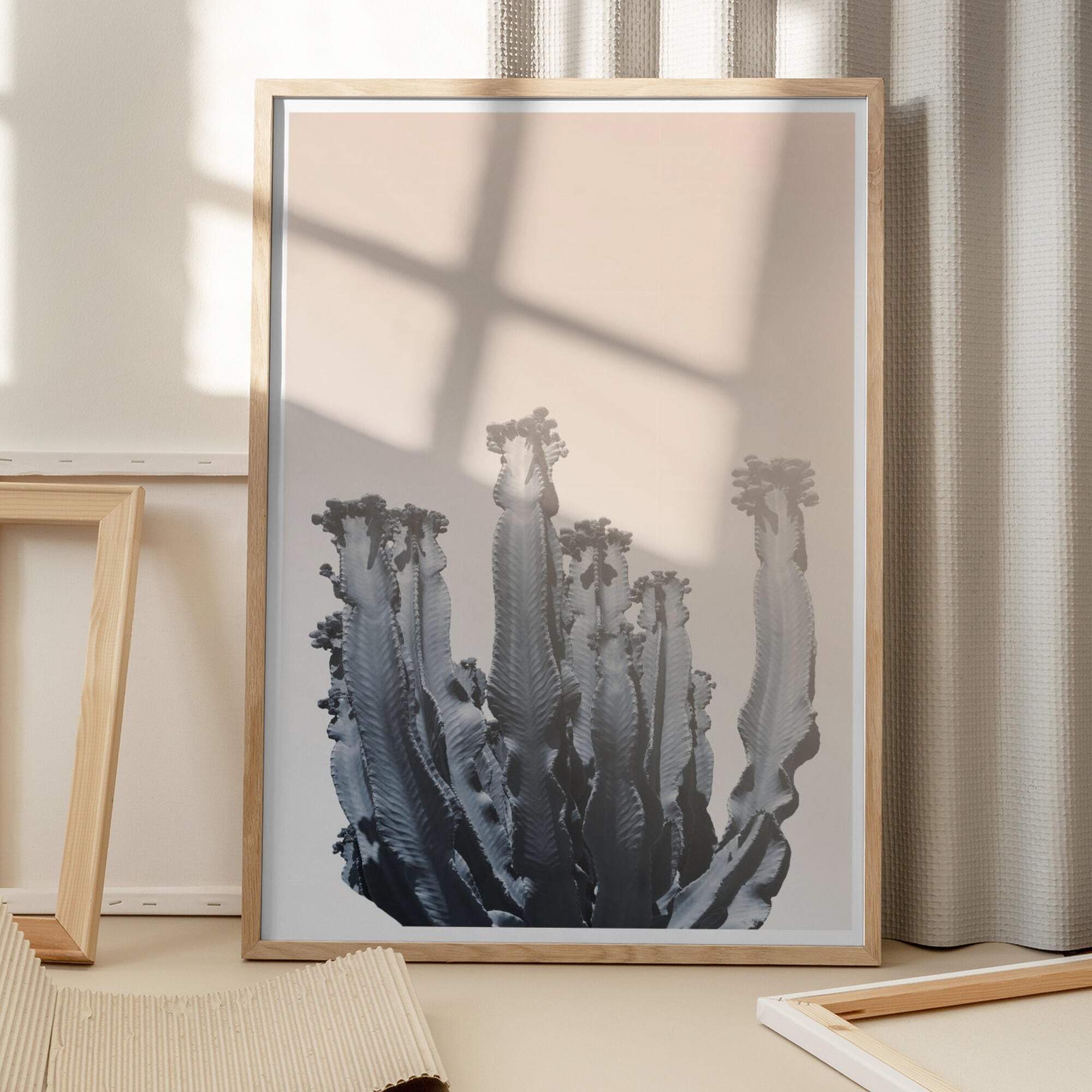 Cactus Silhouettes