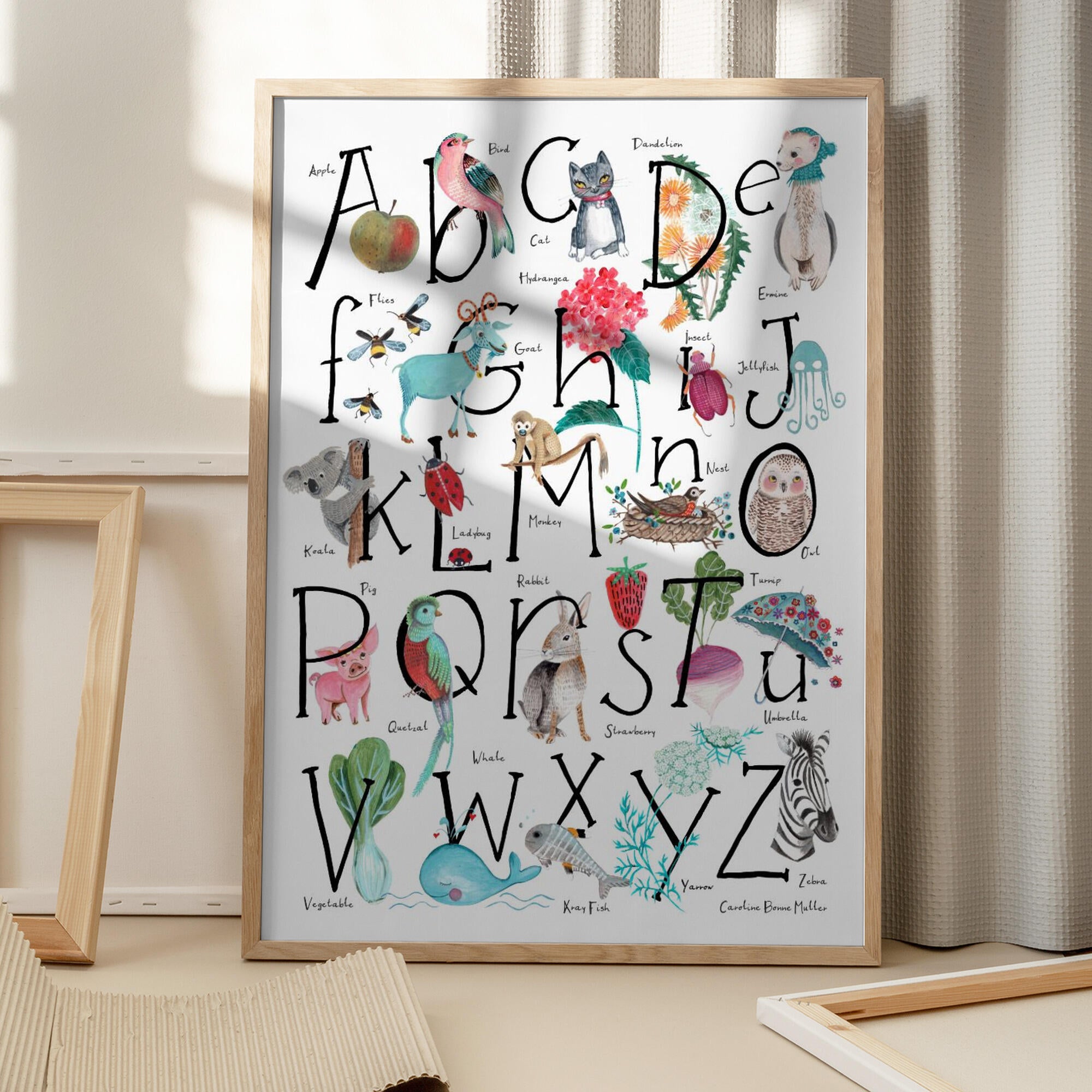 ABC illustration