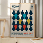 Sequoia National Park Travel Poster