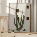 Cabo Cactus IX