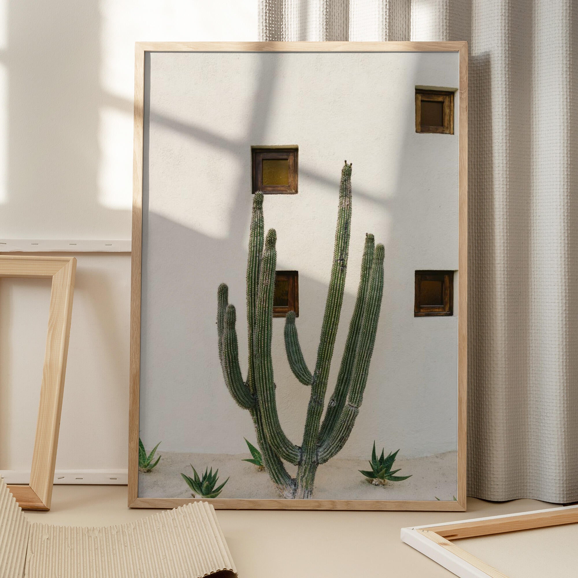 Cabo Cactus IX