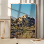Joshua Tree Sunset
