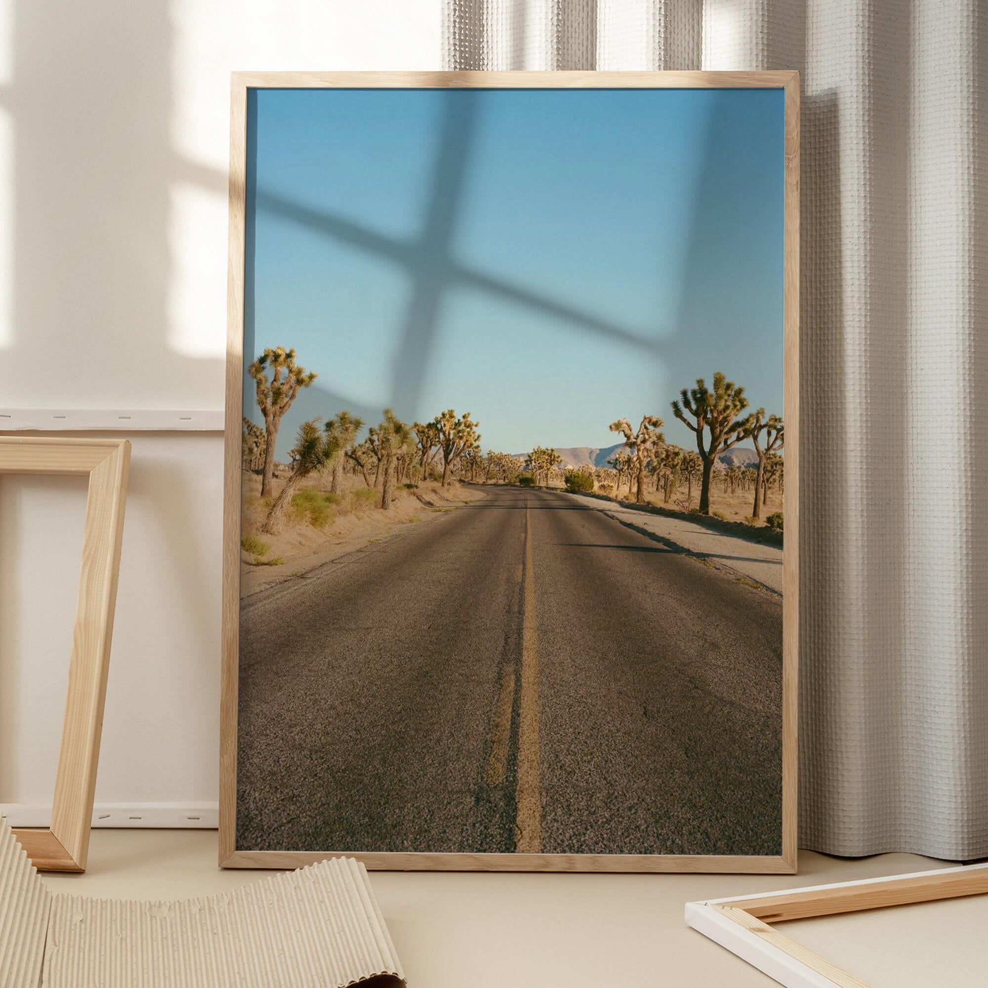 Joshua Tree Road II