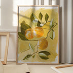 Orange Tree