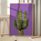 Purple Cactus
