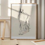 Borzoi Russian Wolfhound Pandc