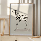 Pandc Dalmation