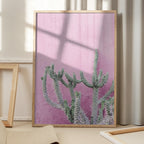 Cactus On Pink