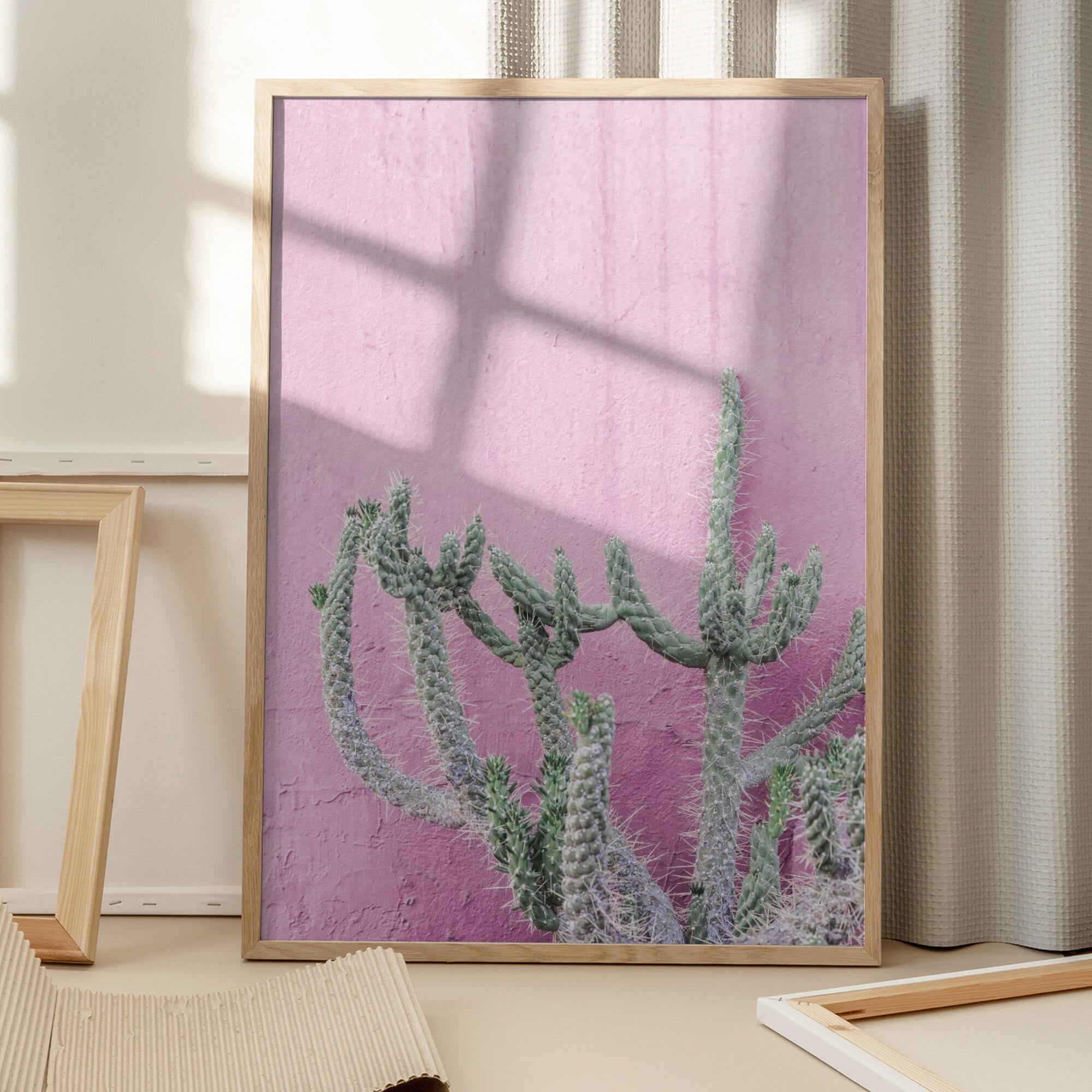 Cactus On Pink