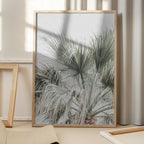 Palm Leaf