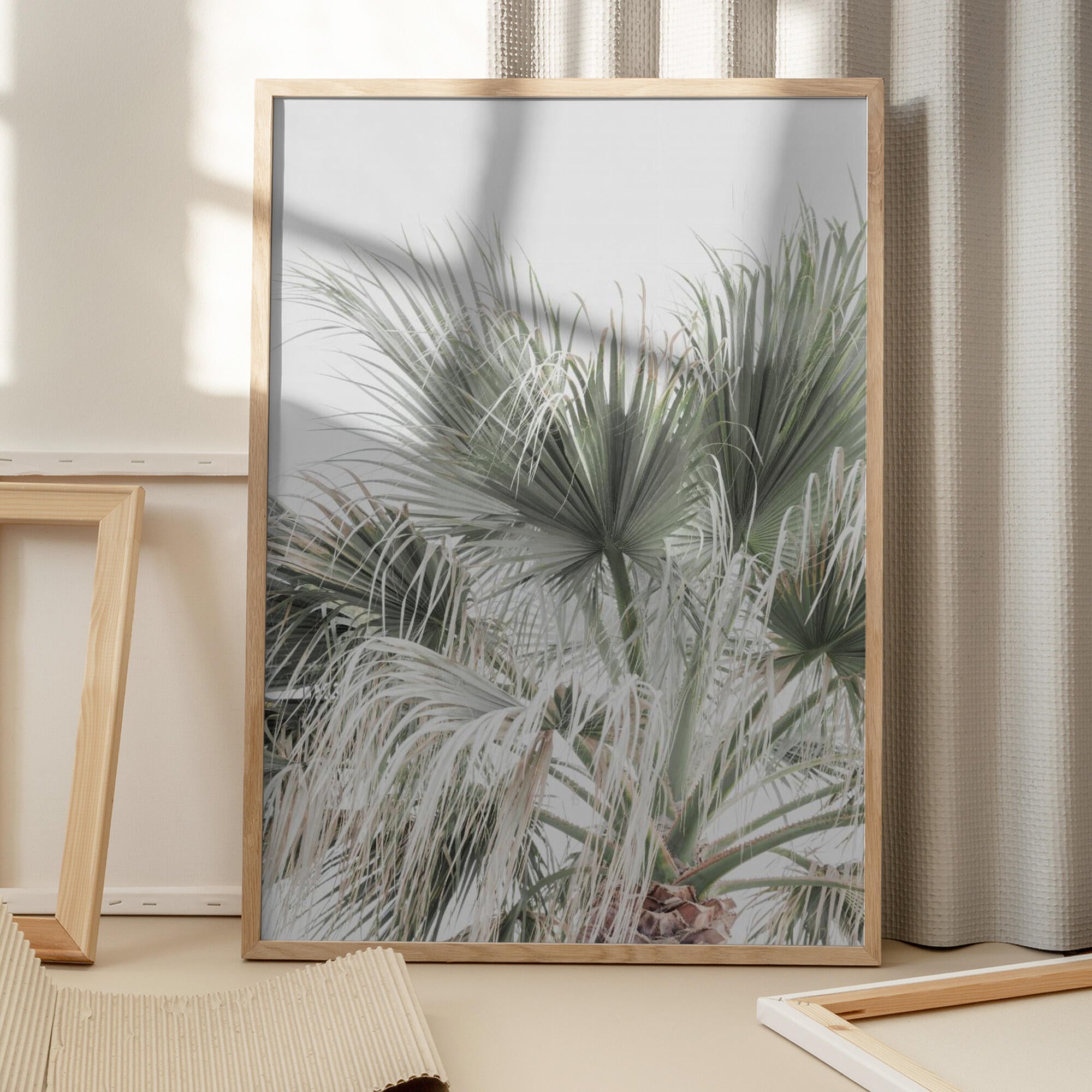 Palm Leaf
