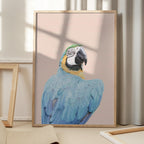 Blue Macaw