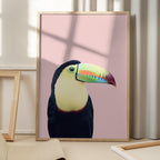 Toucan on Pink