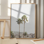 Palm Springs Palms