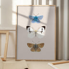 English Butterlies 2