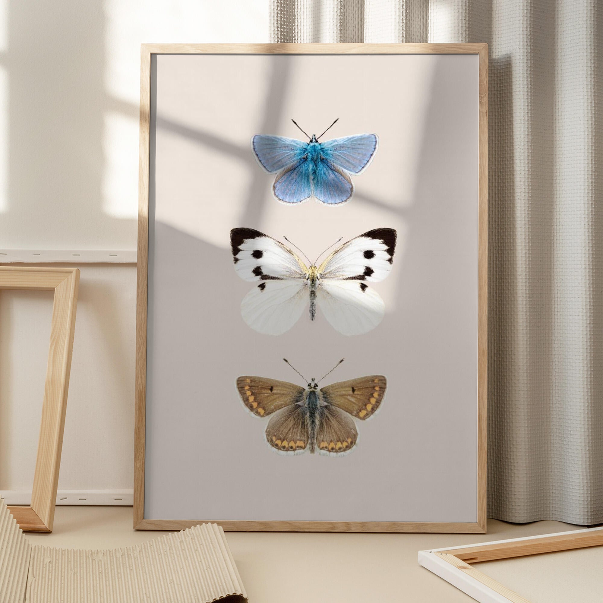 English Butterlies 2