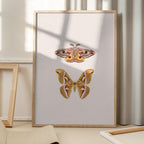 Moths