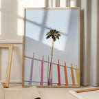 Palm Spring Colors 2