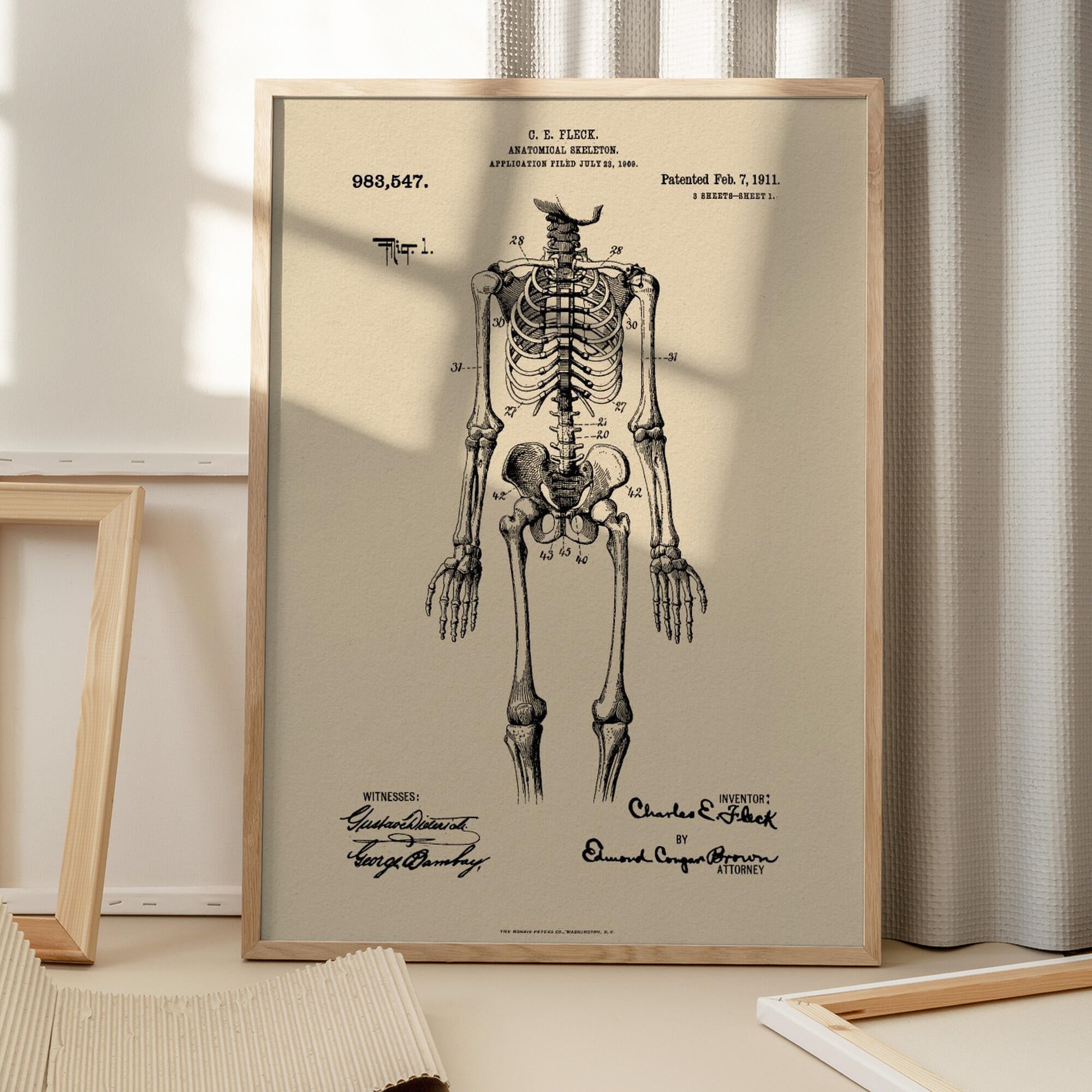Anatomical Skeleton Patent 1911