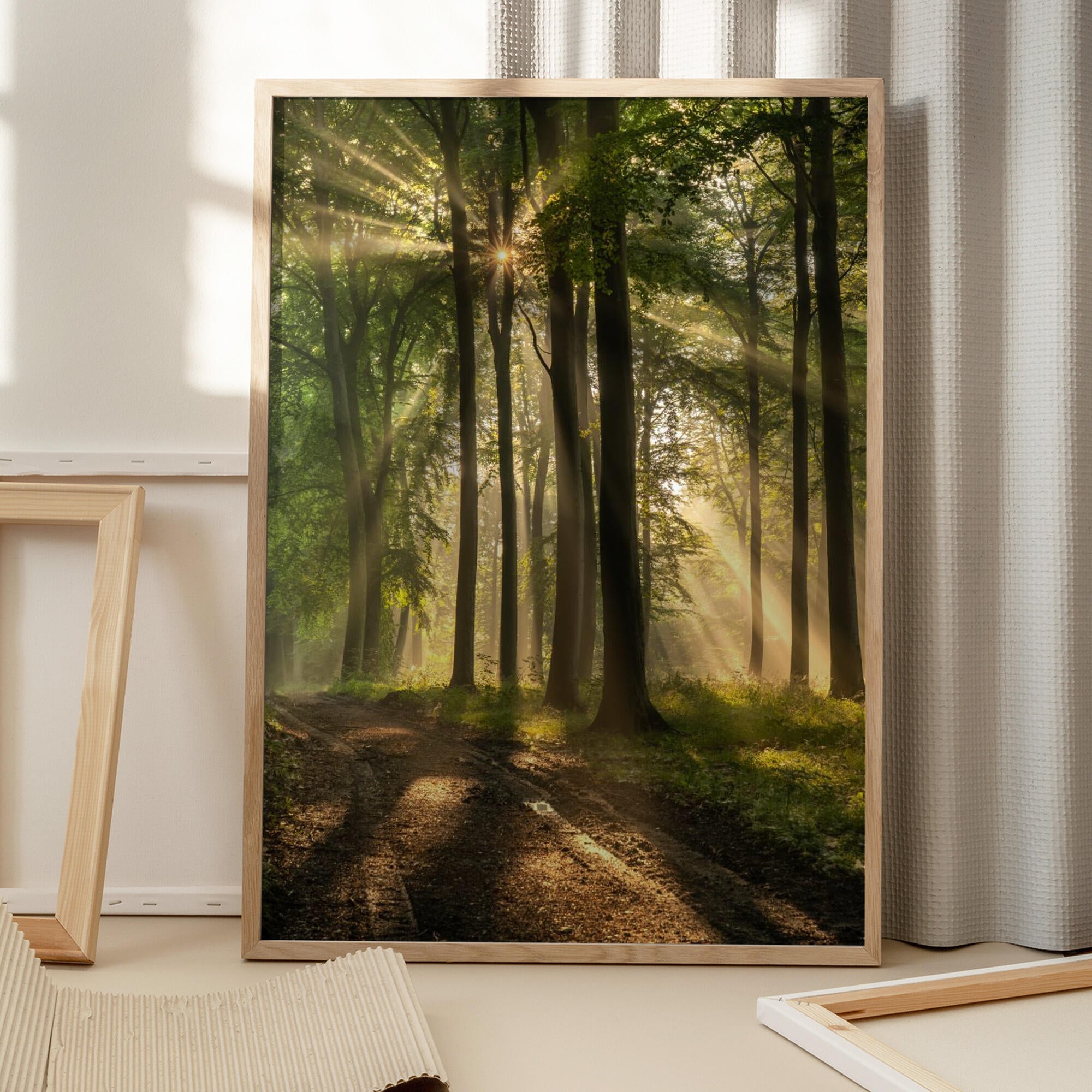 Golden Forest Path