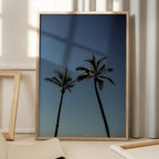 Tropical Palm Silhouettes