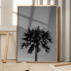 Striking Palm Silhouette