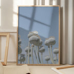 Poppyseed bulbs in mint and retro blue - nature photography