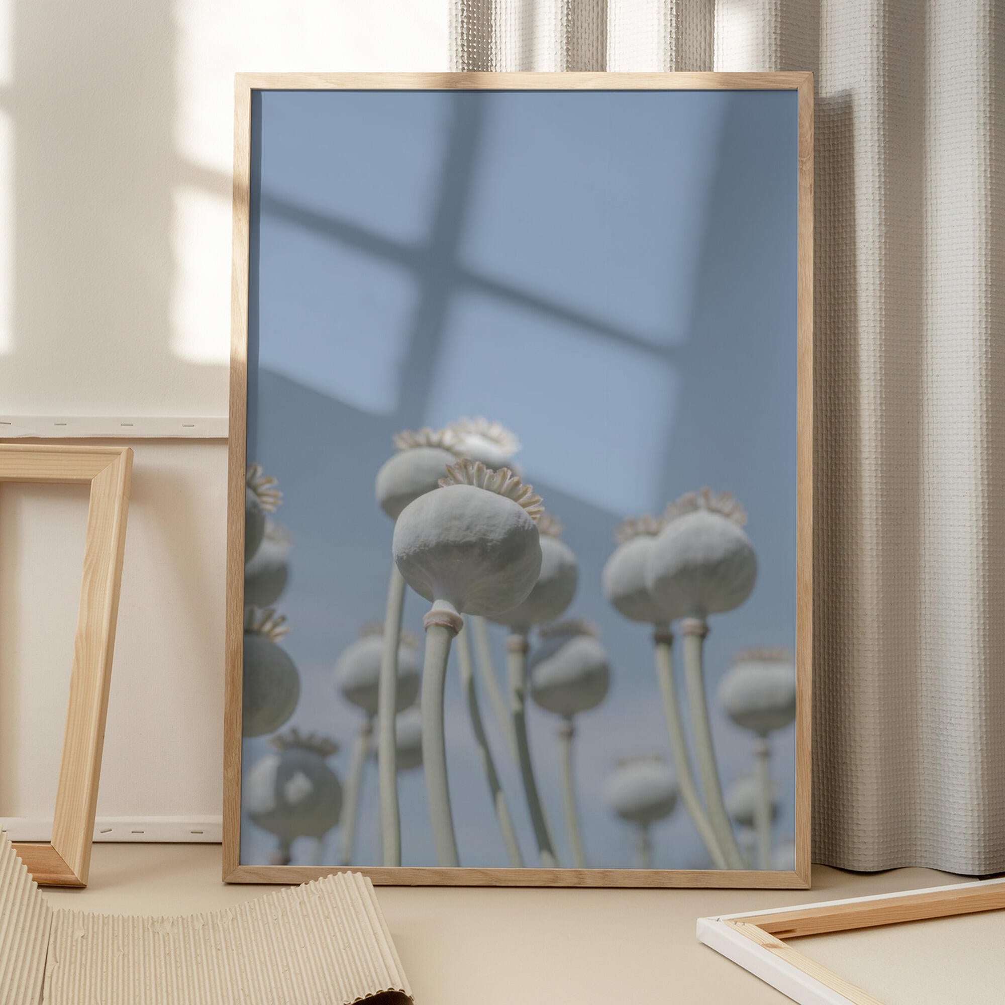 Poppyseed bulbs in mint and retro blue - nature photography