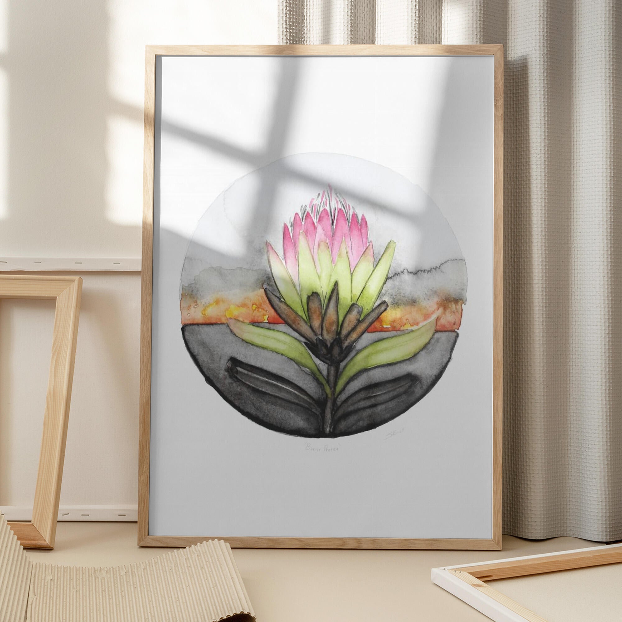Protea Sunset Bloom