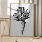 Artichoke By Jean Bernard