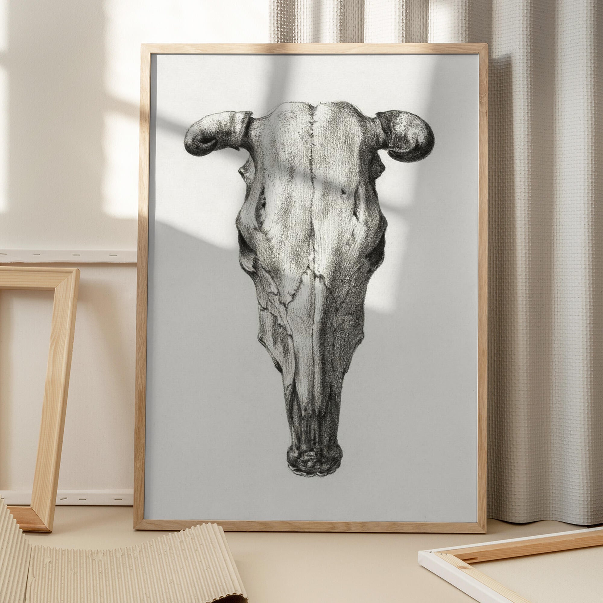 Skull of a Cow Front  View(1816)