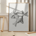 Three Fishes (1775–1833)
