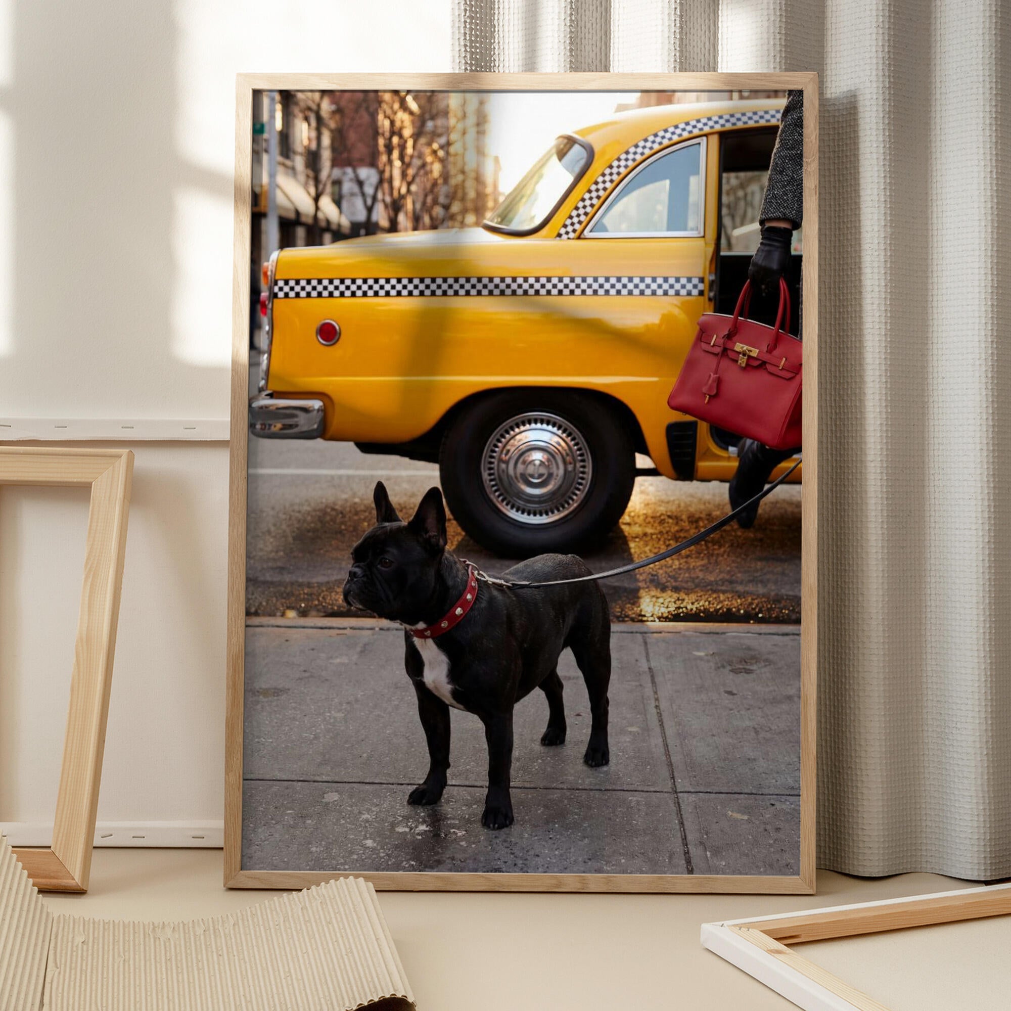 Yellow Cab Dog Walk
