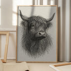 Shaggy Highland Bull
