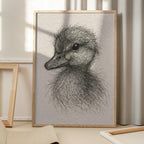 Fluffy Duckling Sketch