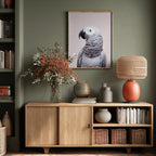 African Grey
