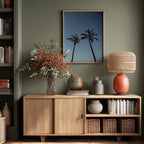 Tropical Palm Silhouettes