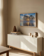 Morning light