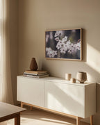 Blossoms