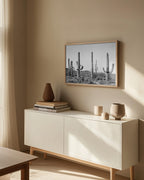 Grey Cactus Land