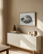 Rolled Up Lying Sleeping Cat (1825)