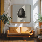 Vintage Vegetables - Avocado