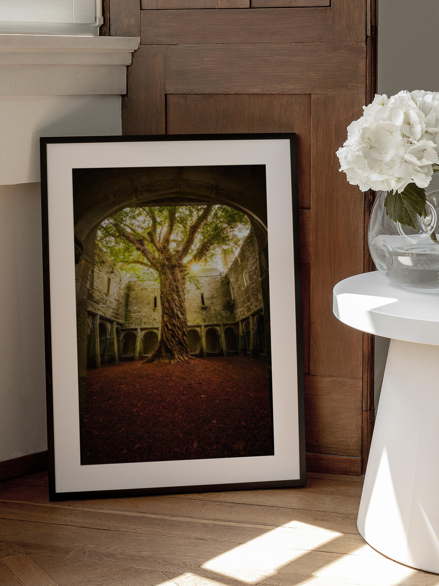 "Muckross Abbey - Tree of Life"